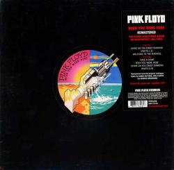Wish You Were Here (Plak) Pink Floyd
