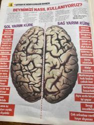 HÜRRİYET GAZETESİ HÜRRİYET KELEBEK 2 GAZETESİ DOĞUM GÜNÜ GAZETESİ - 25 Nisan 2016 - Aşkım Kapışmak-Artık pozitif düşünebilme zamanı-testlerle kendinizi tanıyın-Beyninizin nasıl çalıştığını keşfedin-Zayıf yanlarınızı güçlendirin-geçmiş sıkıntılarınızdan kurtulun-İletişim ve insan ilişkileri rehberi-Ben kimim-Beni Bana anlat-Beynimizi nasıl kullanıyoruz-Sağ Beyin sevgiye göre karar verir-sağ yarım küre-sol yarım küre-sağ lob-sol lob testi-tehdit ve fırsatlar nereden gelir-olumsuz düşüncelerden kurtulma egzersizi-güçlü yanlar fırsatlar-zayıf yanlar tehditler