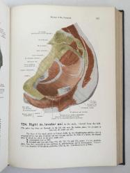 Hand-atlas Of Human Anatomy Vol I, II, III (3 Cilt 1 Kitapta)