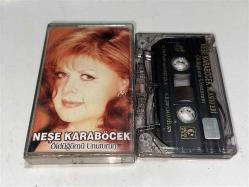 Neşe karaböcek kaset öldüğümü unuturum