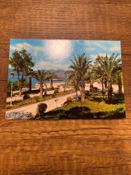 Cennet şehir Antalya parktan bir görünüş keskin color    kartpostalı 15x10.5 ebatında