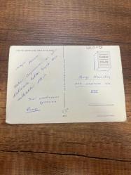 Van gölünde vurup feribot ve Van kedisi karakter color  kartpostalı 15.5x10 ebatında