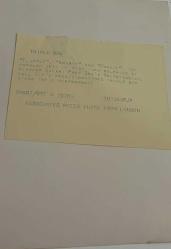 Bir gösteride çekilmiş olan yunus balıklarının fotoğrafı.ORJİNAL SİYAH & BEYAZ 21x16cm EBADINDA - 1940'LAR, 1950'LER, 1960'LAR ve 1970'LER