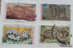 1991 DÜNYA ÇEVRE GÜNÜ YILANLAR