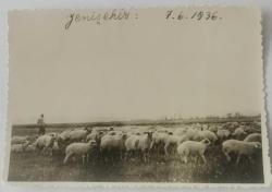 ESKİLERDEN ŞEHİR FOTOĞRAFLARI