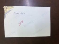 SİBEL CAN'IN ORİJİNAL FOTOĞRAFI - 12 x 10 cm EBADINDA - SİBEL CAN BİR EVRAK İMZALARKEN (AÇIKLAMAYI OKUYUNUZ!..)