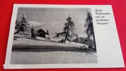 AVUSTURYA; KIŞ MANZARALI NOEL KARTPOSTALI