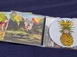 GÜLŞEN BANGIR BANGIR  MÜZİK CD ALBUM