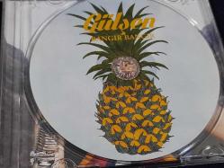 GÜLŞEN BANGIR BANGIR  MÜZİK CD ALBUM