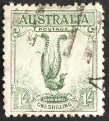 +++ AVUSTRALYA LYREBIRD   1932 OS - DAMGALI , HALİYLE