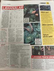 HÜRRİYET GAZETESİ HÜRRİYET KELEBEK 2 GAZETESİ DOĞUM GÜNÜ GAZETESİ - 3 Nisan 2017 - sebze kitabı-lahanalar ve yaprak Sebzeler-brokoli-Brüksel lahanası-ıspanak-lahana-lahanalar dikim yeri-lahana dikim zamanı-lahana tohumu ekme şekli-lahana filesi dikmek-pazı-karnabahar-ıspanak-çin lahanası-Brüksel lahanası-yabani ıspanak-karalahana-brokoli-hürriyet kitap