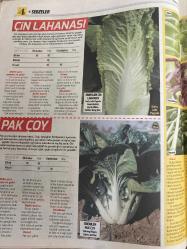 HÜRRİYET GAZETESİ HÜRRİYET KELEBEK 2 GAZETESİ DOĞUM GÜNÜ GAZETESİ - 3 Nisan 2017 - sebze kitabı-lahanalar ve yaprak Sebzeler-brokoli-Brüksel lahanası-ıspanak-lahana-lahanalar dikim yeri-lahana dikim zamanı-lahana tohumu ekme şekli-lahana filesi dikmek-pazı-karnabahar-ıspanak-çin lahanası-Brüksel lahanası-yabani ıspanak-karalahana-brokoli-hürriyet kitap