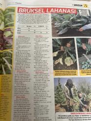 HÜRRİYET GAZETESİ HÜRRİYET KELEBEK 2 GAZETESİ DOĞUM GÜNÜ GAZETESİ - 3 Nisan 2017 - sebze kitabı-lahanalar ve yaprak Sebzeler-brokoli-Brüksel lahanası-ıspanak-lahana-lahanalar dikim yeri-lahana dikim zamanı-lahana tohumu ekme şekli-lahana filesi dikmek-pazı-karnabahar-ıspanak-çin lahanası-Brüksel lahanası-yabani ıspanak-karalahana-brokoli-hürriyet kitap