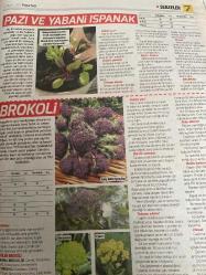 HÜRRİYET GAZETESİ HÜRRİYET KELEBEK 2 GAZETESİ DOĞUM GÜNÜ GAZETESİ - 3 Nisan 2017 - sebze kitabı-lahanalar ve yaprak Sebzeler-brokoli-Brüksel lahanası-ıspanak-lahana-lahanalar dikim yeri-lahana dikim zamanı-lahana tohumu ekme şekli-lahana filesi dikmek-pazı-karnabahar-ıspanak-çin lahanası-Brüksel lahanası-yabani ıspanak-karalahana-brokoli-hürriyet kitap
