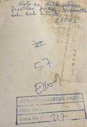 Bir kasa dolusu palamut ile poz verirken çekilmiş olan bir grup yetişkin erkek fotoğrafı. 8 Ağustos 1983 .ORJİNAL SİYAH & BEYAZ 17x12cm EBADINDA - 1940'LAR, 1950'LER, 1960'LAR ve 1970'LER