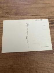 Kırmızı şapkalı Bebek fotoğrafı AND kartpostalı 15x10 ebatında