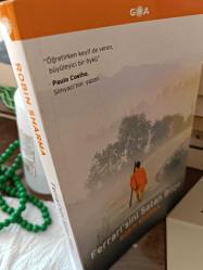 Ferrarisini Satan Bilge