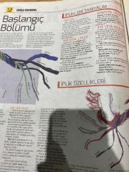 HÜRRİYET GAZETESİ HÜRRİYET KELEBEK 2 GAZETESİ DOĞUM GÜNÜ GAZETESİ - 9 Kasım 2016 - CLAIRE CROMPTON’dan A-Z’ye örgüyle ilgili her şey fikirler teknikler projeler-örgü rehberi-iplik seçimi-başlangıç bölümü-iplikleri tanıyalım-iplik özellikleri—Natal lifler-katı veya kalınlık-sentetik lifler-bebekler için iplikler-sert klas iplikler-dokulu iplikler-ışıltılı iplikler-şişler ve gereçler-düz örgü ilmi-ilmek atma tekniği-şişlerinin tutulması-Km- ters örme-his ve ters örgü ilmeklerini birlikte kullanalım