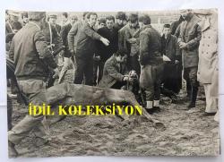 VELİEFENDİ HİPODROMU'NDA 24 EKİM 1973 TARİHLİ B GRUBU ARAP ATLARI 2000 METRE KUM HANDİKAP KOŞUSUNDA GERÇEKLEŞEN KAZADA ÜNLÜ JOKEY KAZIM YILDIZ'IN BİNDİĞİ ZEYNO İSİMLİ KISRAK BOYNUNUN KIRILMASI SONUCU ÖLDÜ. YERDE YATAN ZEYNO'YA MÜDAHALE EDİLDİĞİ ANLARDA ÇEKİLMİŞ BÜYÜK BOY ORİJİNAL FOTOĞRAF - 24 x 18 cm EBADINDA