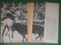 DEATH IN THE AFTERNOON