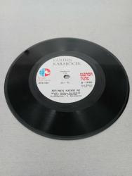 GÜLDEN KARABÖCEK - DİLEK TAŞI - SEVMEK NEDİR Kİ - 45'LİK - PLAK