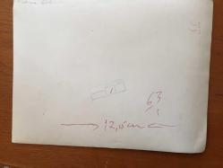 YEŞİLÇAM'IN YILDIZI FATMA GİRİK'İN ORİJİNAL BÜYÜK BOY FOTOĞRAFI - 24 x 18 cm EBADINDA -  FATMA GİRİK ''BOŞ BEŞİK'' FİLMİ ÇEKİMLERİNDE ZİNCİRE BAĞLANMIŞ AKBABANIN KANADINI TUTARKEN ÇEKİLMİŞ BİR KARE