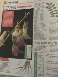 HÜRRİYET GAZETESİ HÜRRİYET KELEBEK 2 GAZETESİ DOĞUM GÜNÜ GAZETESİ - 30 Ocak 2017 - şifalı bitkilerin kullanım yöntemleri ve faydaları-okaliptus-astım ve amfizem-soğuk algınlığı-mürver ağacı-ekinezya-grip-viral enfeksiyon-şifalı bitkiler dünyası-kullanım yöntemleri-geven yağı-buzlu otu çayı-solunum rahatlaması