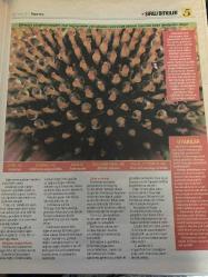 HÜRRİYET GAZETESİ HÜRRİYET KELEBEK 2 GAZETESİ DOĞUM GÜNÜ GAZETESİ - 30 Ocak 2017 - şifalı bitkilerin kullanım yöntemleri ve faydaları-okaliptus-astım ve amfizem-soğuk algınlığı-mürver ağacı-ekinezya-grip-viral enfeksiyon-şifalı bitkiler dünyası-kullanım yöntemleri-geven yağı-buzlu otu çayı-solunum rahatlaması