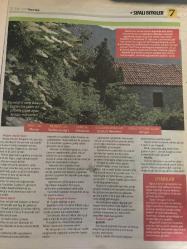 HÜRRİYET GAZETESİ HÜRRİYET KELEBEK 2 GAZETESİ DOĞUM GÜNÜ GAZETESİ - 30 Ocak 2017 - şifalı bitkilerin kullanım yöntemleri ve faydaları-okaliptus-astım ve amfizem-soğuk algınlığı-mürver ağacı-ekinezya-grip-viral enfeksiyon-şifalı bitkiler dünyası-kullanım yöntemleri-geven yağı-buzlu otu çayı-solunum rahatlaması