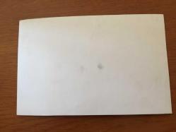 ATLARLA İLGİLİ ORİJİNAL BİR FOTOĞRAF - 18 x 12 cm EBADINDA - BİR HAL ÖNÜNDE YÜK TAŞIMACILIĞI YAPAN BİR KIR AT