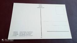 ATİNA - AKROPOLİS'in GENEL GÖRÜNÜMÜ - YUNANİSTAN - KARTPOSTAL