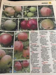 HÜRRİYET GAZETESİ HÜRRİYET KELEBEK 2 GAZETESİ DOĞUM GÜNÜ GAZETESİ - 9 Mayıs 2017 - meyve yetiştirme-büyük ve küçük bahçelerde meyve yetiştirme yöntemleri ve meyve türleri elma türleri-tatlı elmalar-elma yetiştirmek-yaban elmalari-nadir bulunan elmalar-rutin bakım-sulama-Malçlama-dondan koruma-elma ağaçlarını seçmek ve satın almak-elma ağacı dikmek-yayınları