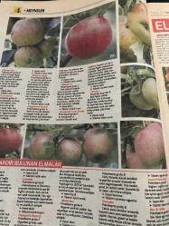 HÜRRİYET GAZETESİ HÜRRİYET KELEBEK 2 GAZETESİ DOĞUM GÜNÜ GAZETESİ - 9 Mayıs 2017 - meyve yetiştirme-büyük ve küçük bahçelerde meyve yetiştirme yöntemleri ve meyve türleri elma türleri-tatlı elmalar-elma yetiştirmek-yaban elmalari-nadir bulunan elmalar-rutin bakım-sulama-Malçlama-dondan koruma-elma ağaçlarını seçmek ve satın almak-elma ağacı dikmek-yayınları