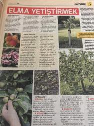 HÜRRİYET GAZETESİ HÜRRİYET KELEBEK 2 GAZETESİ DOĞUM GÜNÜ GAZETESİ - 9 Mayıs 2017 - meyve yetiştirme-büyük ve küçük bahçelerde meyve yetiştirme yöntemleri ve meyve türleri elma türleri-tatlı elmalar-elma yetiştirmek-yaban elmalari-nadir bulunan elmalar-rutin bakım-sulama-Malçlama-dondan koruma-elma ağaçlarını seçmek ve satın almak-elma ağacı dikmek-yayınları