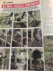 HÜRRİYET GAZETESİ HÜRRİYET KELEBEK 2 GAZETESİ DOĞUM GÜNÜ GAZETESİ - 9 Mayıs 2017 - meyve yetiştirme-büyük ve küçük bahçelerde meyve yetiştirme yöntemleri ve meyve türleri elma türleri-tatlı elmalar-elma yetiştirmek-yaban elmalari-nadir bulunan elmalar-rutin bakım-sulama-Malçlama-dondan koruma-elma ağaçlarını seçmek ve satın almak-elma ağacı dikmek-yayınları