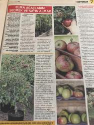 HÜRRİYET GAZETESİ HÜRRİYET KELEBEK 2 GAZETESİ DOĞUM GÜNÜ GAZETESİ - 9 Mayıs 2017 - meyve yetiştirme-büyük ve küçük bahçelerde meyve yetiştirme yöntemleri ve meyve türleri elma türleri-tatlı elmalar-elma yetiştirmek-yaban elmalari-nadir bulunan elmalar-rutin bakım-sulama-Malçlama-dondan koruma-elma ağaçlarını seçmek ve satın almak-elma ağacı dikmek-yayınları