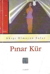 Akışı olmayan sular
