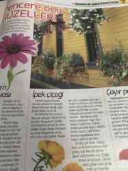 HÜRRİYET GAZETESİ HÜRRİYET KELEBEK 2 GAZETESİ DOĞUM GÜNÜ GAZETESİ - 24 Mayıs 2016 - ev bahçesi dergisinden balkonlarınızı güzelleştirecek tasarım önerileri ilham veren kareler-balkon ve saksı bahçeliği-balkon için 20 dekorasyon fikri-saksı boyama-küçük Bahçıvanlar-pencere önü güzelleri-oturma bölümü-uçuşan Tüller-yük paletleri-saksı boyuyoruz-saksı boyamak için malzemeler-papatya seviyor sevmiyor-küçük bahçıvanlar-pencere önü güzelleri-bodrum papatyası-ipek çiçeği-Çayır papatyası-lazanya-Yıldız Çiçeği-haseki küpesi-kadife çiçeği-kanayan kalpler