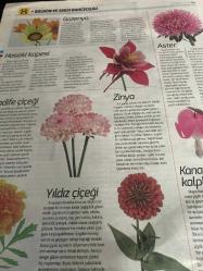 HÜRRİYET GAZETESİ HÜRRİYET KELEBEK 2 GAZETESİ DOĞUM GÜNÜ GAZETESİ - 24 Mayıs 2016 - ev bahçesi dergisinden balkonlarınızı güzelleştirecek tasarım önerileri ilham veren kareler-balkon ve saksı bahçeliği-balkon için 20 dekorasyon fikri-saksı boyama-küçük Bahçıvanlar-pencere önü güzelleri-oturma bölümü-uçuşan Tüller-yük paletleri-saksı boyuyoruz-saksı boyamak için malzemeler-papatya seviyor sevmiyor-küçük bahçıvanlar-pencere önü güzelleri-bodrum papatyası-ipek çiçeği-Çayır papatyası-lazanya-Yıldız Çiçeği-haseki küpesi-kadife çiçeği-kanayan kalpler