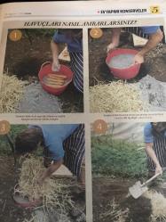 HÜRRİYET GAZETESİ HÜRRİYET KELEBEK 2 GAZETESİ DOĞUM GÜNÜ GAZETESİ - 26 Ağustos 2016 - ev yapımı konserve tarifleri içeren rehber-ev yapımı konserveler-turşu kurma tarifi-taze sebze meyve saklamak-sarımsak asmak-üzüm salkımı nasıl yapılır-sebzeleri Ambarlama-havuç ambarlarsınız-sakız kabağı ve elmalari saklamak-kırmızı biber ve ot soslu deniz ürünleri kebabı tarif- sıcak turşu-