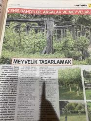 HÜRRİYET GAZETESİ HÜRRİYET KELEBEK 2 GAZETESİ DOĞUM GÜNÜ GAZETESİ - 16 MAYIS 2017 - erik çeşitleri-kiraz çeşitleri-meyve yetiştirme-kiraz ve vişne-kiraz ve vişne ağaçlarını seçmek satın almak-kiraz çeşitleri-bir kiraz ağacı dikmek-geniş bahçeler-arsalar ve meyvelikler-meyvelik tasarlamak-küçük bahçelerde meyve yetiştirmek-kapta meyve yetiştirmek-alandan tasarruf sağlayan ağaç biçimleri