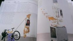 Anıtsal değil: 21. yüzyılda nesne. [= Unmonumental: The object in the 21st century] ÖZEL KUTUSUNDA