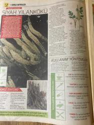 HÜRRİYET GAZETESİ HÜRRİYET KELEBEK 2 GAZETESİ DOĞUM GÜNÜ GAZETESİ - 27 Şubat 2017 - Şifalı bitkilerin kullanım yöntemleri ve faydaları-Şifalı bitkiler dünyası-Menopoz için Siyah yılankökü -kas krampları için Kara Alıç-İdrar yolu enfeksiyonu için Turna yemişi-adet öncesi sendromu için Hayıt-menopoz tentürü yapımı-Kara alıç ve zencefil tentürü tarifi-Hayıt meyvesi çayı tarifi-Turna yemişi hasatı-Hürriyet kitap