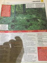 HÜRRİYET GAZETESİ HÜRRİYET KELEBEK 2 GAZETESİ DOĞUM GÜNÜ GAZETESİ - 27 Şubat 2017 - Şifalı bitkilerin kullanım yöntemleri ve faydaları-Şifalı bitkiler dünyası-Menopoz için Siyah yılankökü -kas krampları için Kara Alıç-İdrar yolu enfeksiyonu için Turna yemişi-adet öncesi sendromu için Hayıt-menopoz tentürü yapımı-Kara alıç ve zencefil tentürü tarifi-Hayıt meyvesi çayı tarifi-Turna yemişi hasatı-Hürriyet kitap