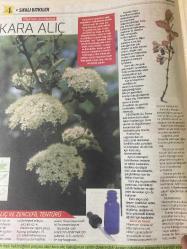 HÜRRİYET GAZETESİ HÜRRİYET KELEBEK 2 GAZETESİ DOĞUM GÜNÜ GAZETESİ - 27 Şubat 2017 - Şifalı bitkilerin kullanım yöntemleri ve faydaları-Şifalı bitkiler dünyası-Menopoz için Siyah yılankökü -kas krampları için Kara Alıç-İdrar yolu enfeksiyonu için Turna yemişi-adet öncesi sendromu için Hayıt-menopoz tentürü yapımı-Kara alıç ve zencefil tentürü tarifi-Hayıt meyvesi çayı tarifi-Turna yemişi hasatı-Hürriyet kitap