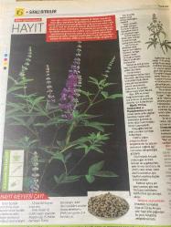 HÜRRİYET GAZETESİ HÜRRİYET KELEBEK 2 GAZETESİ DOĞUM GÜNÜ GAZETESİ - 27 Şubat 2017 - Şifalı bitkilerin kullanım yöntemleri ve faydaları-Şifalı bitkiler dünyası-Menopoz için Siyah yılankökü -kas krampları için Kara Alıç-İdrar yolu enfeksiyonu için Turna yemişi-adet öncesi sendromu için Hayıt-menopoz tentürü yapımı-Kara alıç ve zencefil tentürü tarifi-Hayıt meyvesi çayı tarifi-Turna yemişi hasatı-Hürriyet kitap