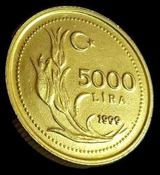 1999 5000 Lira Çil Prof Baskı