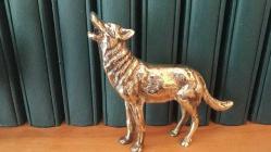 PİRİNÇ KURT   ( büyük boy )