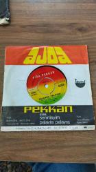 Ajda Pekkan/45 lik dönem palavra palavra
