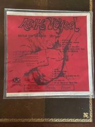 AŞIK VEYSEL * DOSTLAR BENİ HATIRLASIN * 33'LÜK PLAK